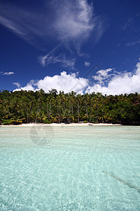 被触碰的热带海滩天堂太阳植物椰子蓝色海景晴天棕榈海岸线旅游图片