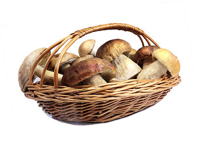 白色背景的针筒篮子里的蘑菇远足产品烹饪食物柳条季节生长餐饮娱乐森林图片