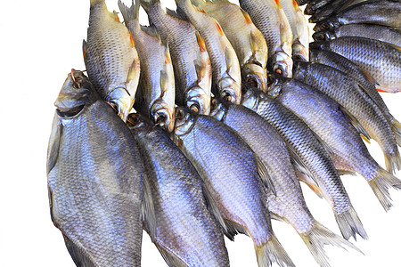 干烧鲫鱼素材白底的盐河和干河鱼类对象映射食物鲫鱼钓鱼爱好背景