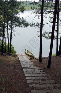 墨水湖旅行踪迹公园植物松树树木绿色娱乐独木舟楼梯图片