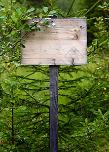 木头指示牌路标空白木质符号灌木丛粮食杂草乡村招牌植物邮政风化森林木头背景