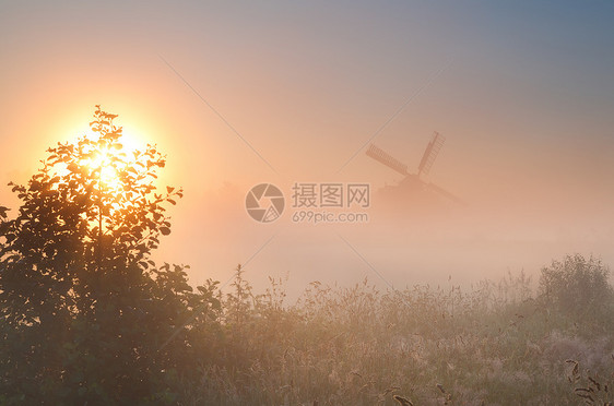 日出时雾中的荷兰风车图片