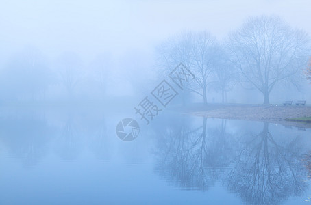 以湖泊和雾雾的树盟誓图片