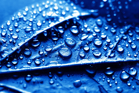 蓝水滴淋浴蓝色气泡风暴飞沫宏观玻璃珠子天气反射图片