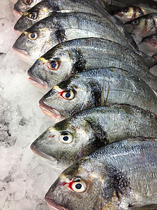 鱼市场蓝色餐厅钓鱼团体食物海鲜营养眼睛销售美食图片