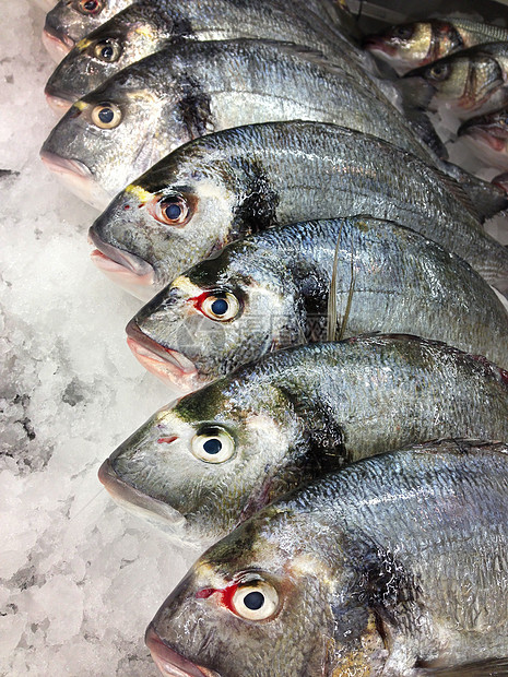 鱼市场蓝色餐厅钓鱼团体食物海鲜营养眼睛销售美食图片