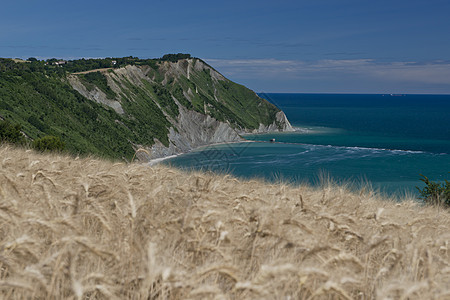 波托诺沃湾太阳小麦海滩海角树木海岸线麦田海岸假期图片