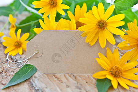 空白纸标签和黄锥花文本生日礼物笔记乡村静物照片花朵水平妈妈图片