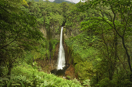哥斯达黎加生态旅游植被目的地陨石旅行自然现象岩石瀑布森林图片