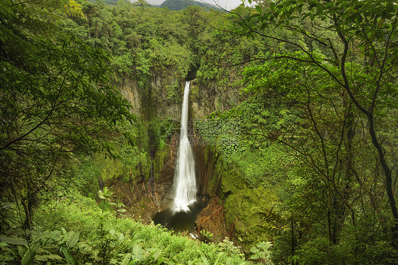 哥斯达黎加生态旅游植被目的地陨石旅行自然现象岩石瀑布森林图片