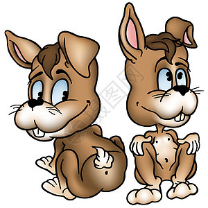 两只兔子漫画哺乳动物荒野卡通片插图宠物动画片耳朵小狗动物图片