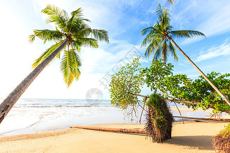 蓝天空和棕榈树上的班加萨克海滩假期旅游旅行棕榈蓝色植物网关海滩椰子天空图片