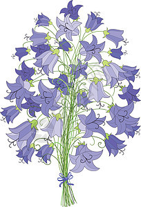 花束季节场地婚礼植物群蓝色宏观美丽紫色花瓣花朵图片