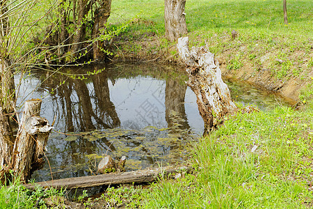 田地中小湖反射季节池塘公园场地风景自然森林蓝色植物图片
