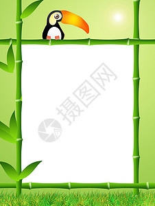竹竹框狮子棕榈森林植物绿色哺乳动物场景卡通片招牌入口图片