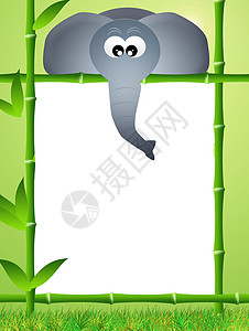 大象漫画入口老虎动物场景狮子棕榈绿色森林树木植物图片