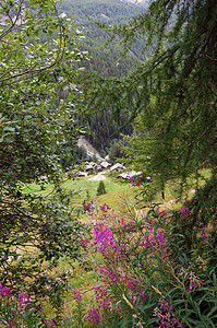 奥斯塔谷村庄旅行森林植物群风景高山树木风景区鸟瞰图假期图片