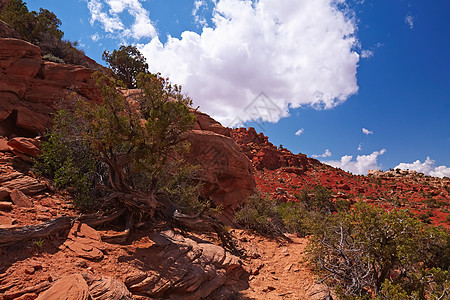 红沙漠土壤沙漠国家编队公园天空远足背包荒野橙子图片