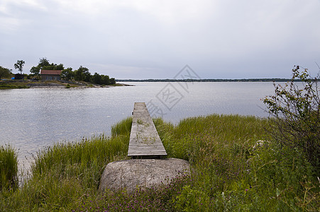 瑞典Asnen湖水域自然保护区牧歌森林树木旅行背景图片