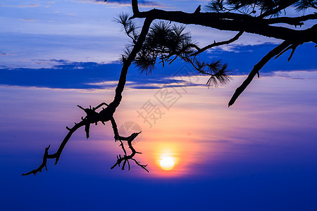 Phu Kradung国家公园日出旅行天空日落沙丘剪影公园树叶地标绿色图片