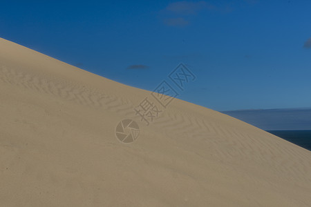 沙丘和蓝天天空线条晴天棕色海滩蓝色热带侵蚀海浪沙漠图片