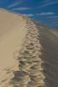 沙丘和蓝天侵蚀棕色线条海滩天空沙漠热带晴天蓝色海浪图片