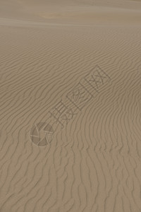 沙砂质热带阴影棕色海滩晴天线条海浪沙漠侵蚀图片