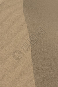 沙砂质侵蚀阴影线条热带棕色海浪晴天沙漠海滩图片