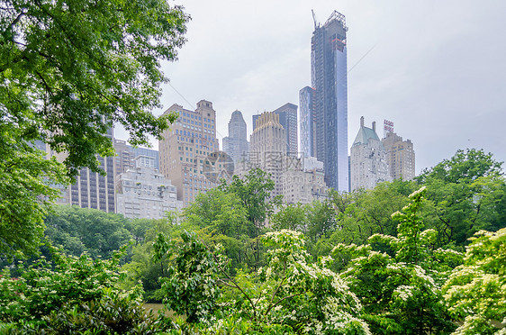 曼哈顿中央公园城市办公楼旅行住宅区蓝色池塘建筑晴天摩天大楼天空图片