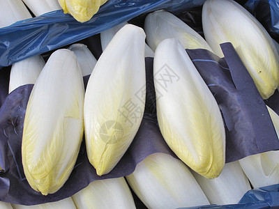 包装在盒子中的内嵌生产树叶叶子食物白色青菜蔬菜园艺菊苣市场图片