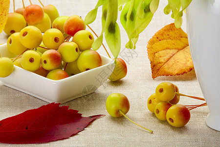 秋天的甜点白色盘子陶瓷早餐农业饮食制品健康红色水果图片
