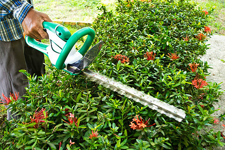 园丁砍伐灌木丛剪子工人绿色工作修剪生长男人工具衬套园艺图片