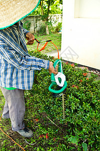 园丁砍伐灌木丛工作园艺生长修剪衬套植物剪子花园男人绿色图片
