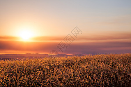 山地上美丽的夕阳植物农业季节大麦国家阳光收成土地日出橙子背景图片