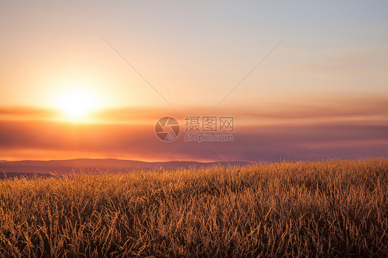 山地上美丽的夕阳植物农业季节大麦国家阳光收成土地日出橙子图片