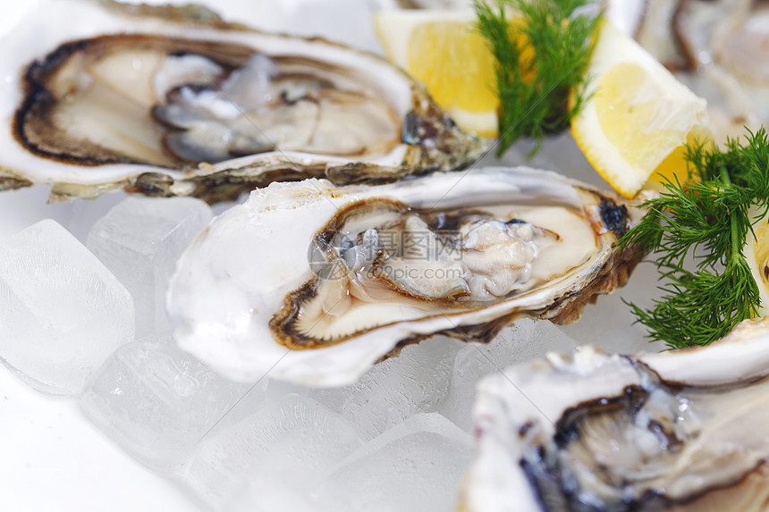含柠檬和的牡蛎海鲜贝类餐厅饮食营养盘子壳类熟食午餐美食图片