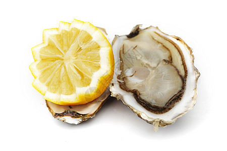 牡蛎和白柠檬柠檬奢华午餐盘子餐厅食物壳类贝类宏观海鲜图片
