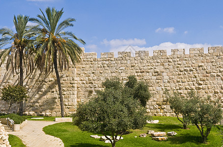 耶路撒冷隔离墙砖块建筑圣经考古手掌城市树木图片