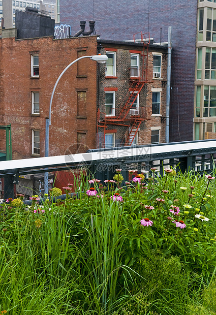 纽约高线公园房子建筑学景观花园花朵城市建筑物公寓图片
