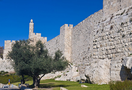 耶路撒冷隔离墙城市建筑砖块考古圣经树木图片