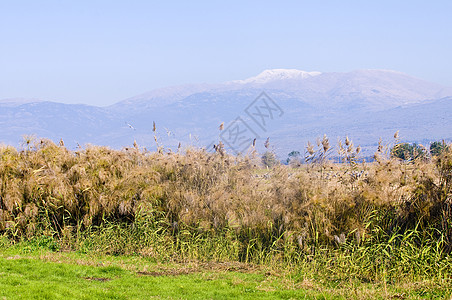 赫蒙山风景土地场地顶峰场景草裙图片