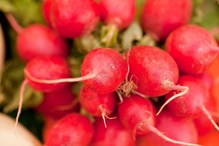 新的红色红丁二烯封闭型大型户外市场季节饮食烹饪叶子根菜紫色营养收成蔬菜水果图片