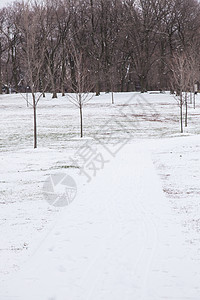 圣诞节雪雪树木景观市中心旅行风景建筑假期公园季节支撑图片