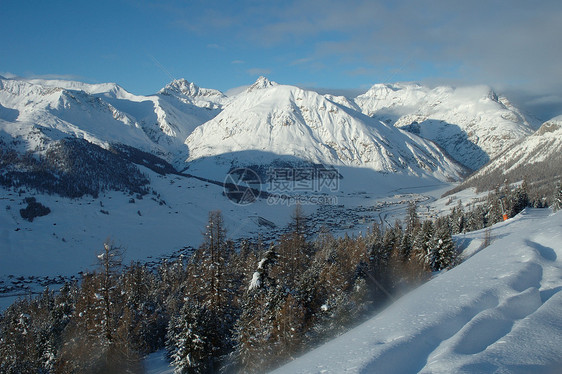 意大利阿尔卑斯山首脑山脉顶峰旅游滑雪树木白色阴影天空森林图片
