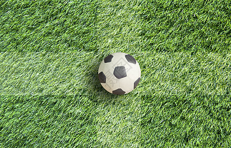 草原上的可塑性足球玩具雕塑绿色橡皮泥竞赛世界圆形皮革六边形白色图片