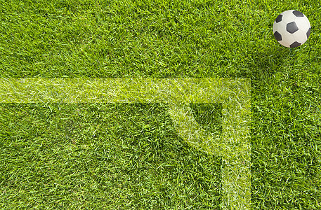 草原上的可塑性足球照片雕塑世界竞赛皮革白色游戏黏土六边形橡皮泥图片