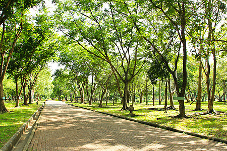公园的走道人行道风景花园环境场地小路美丽季节绿色植物图片