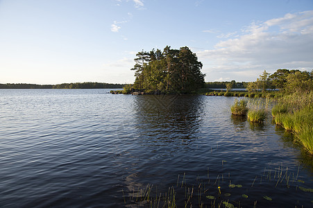 瑞典Asnen湖天空森林牧歌树木水域旅行自然保护区图片