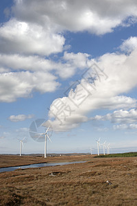 带风力涡轮机的沼地图片