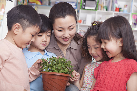 老师向一群学生展示一棵植物图片